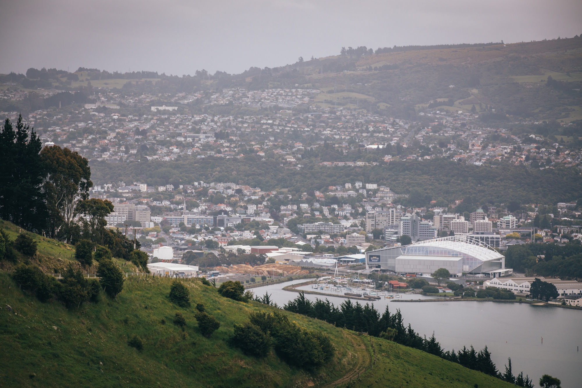 Read more about the article Dunedin’s hidden forest retreat is utterly divine
